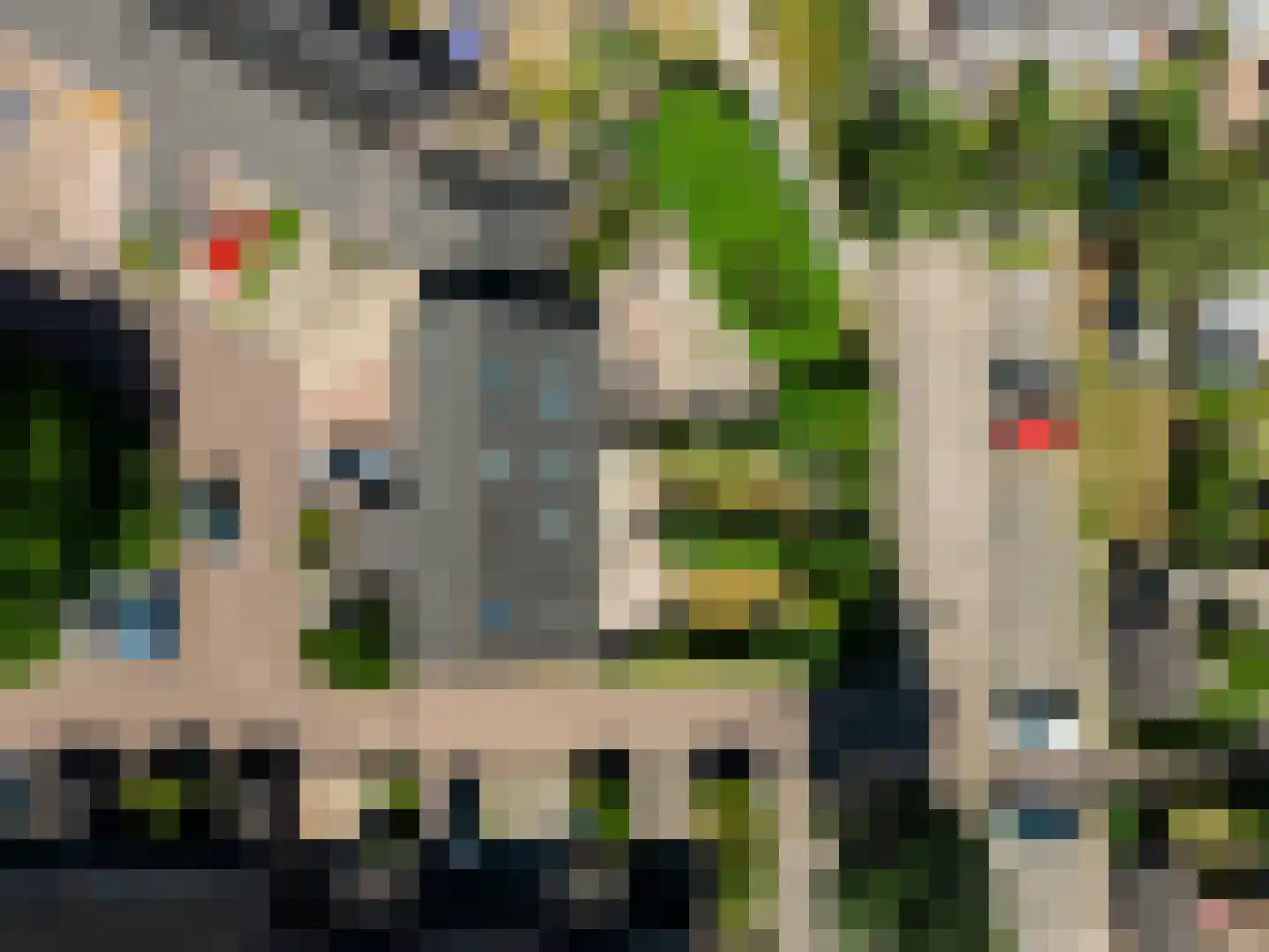 Lisdodde 2 Soest thumbnail 37