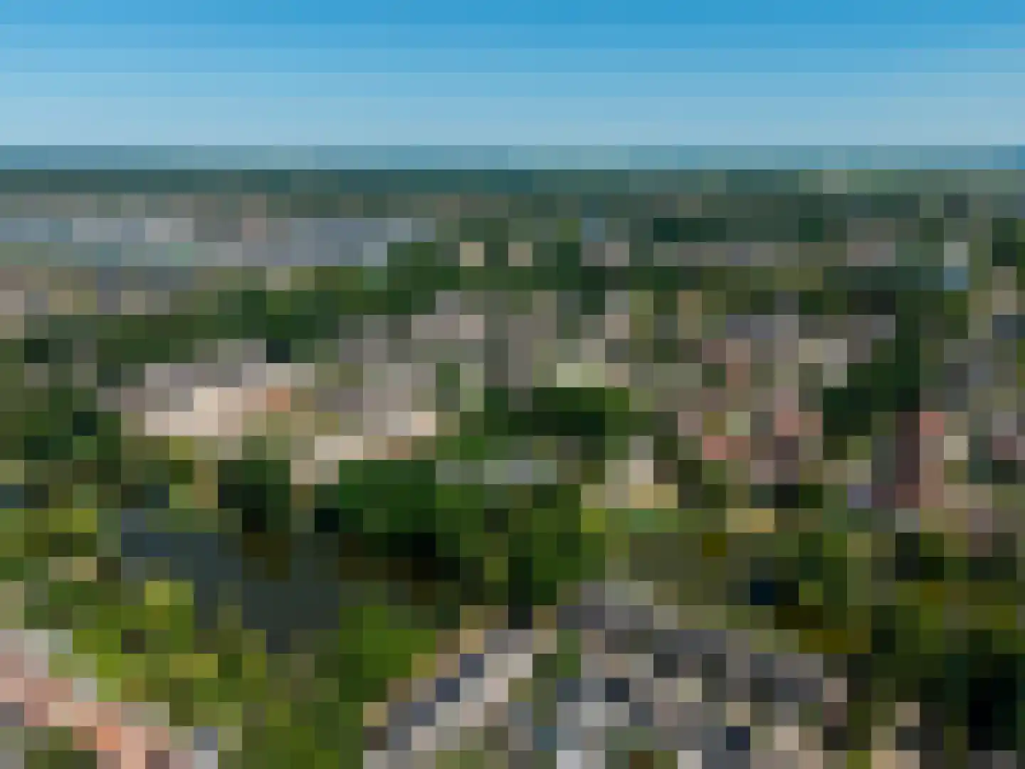 Lisdodde 2 Soest thumbnail 39