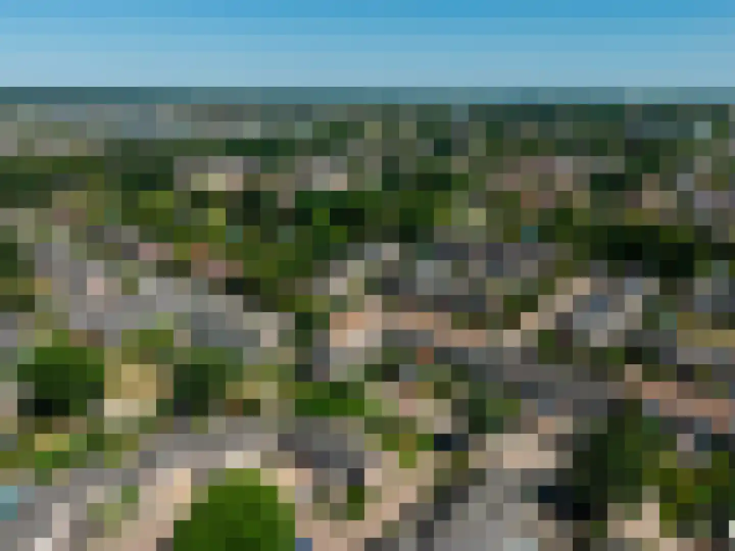 Lisdodde 2 Soest thumbnail 40