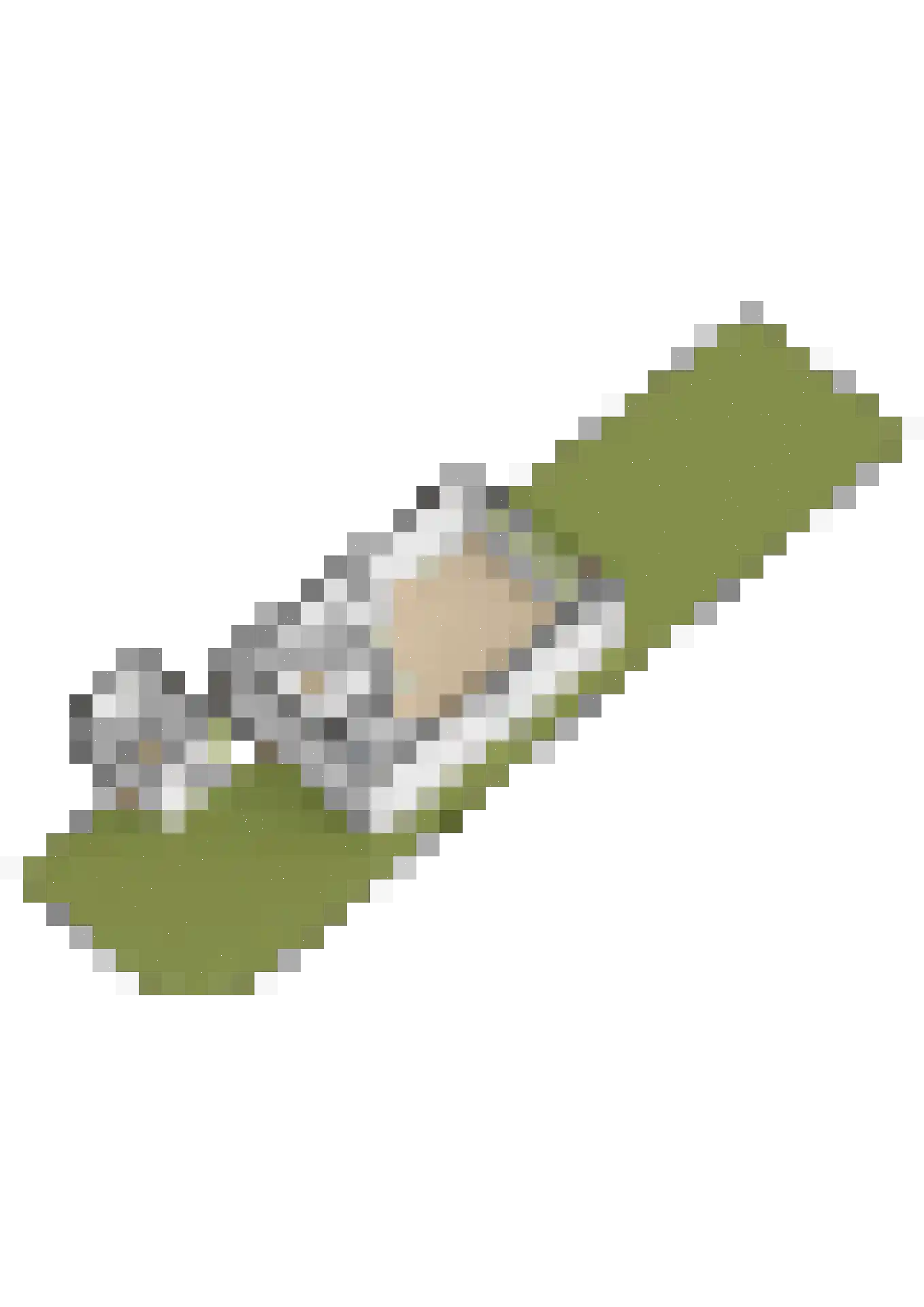 Lisdodde 2 Soest thumbnail 42