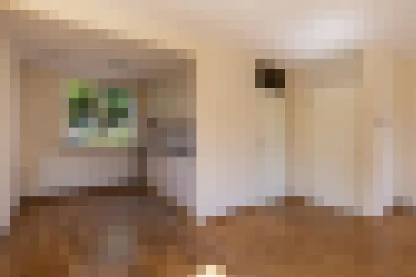 Lisdodde 2 Soest thumbnail 7