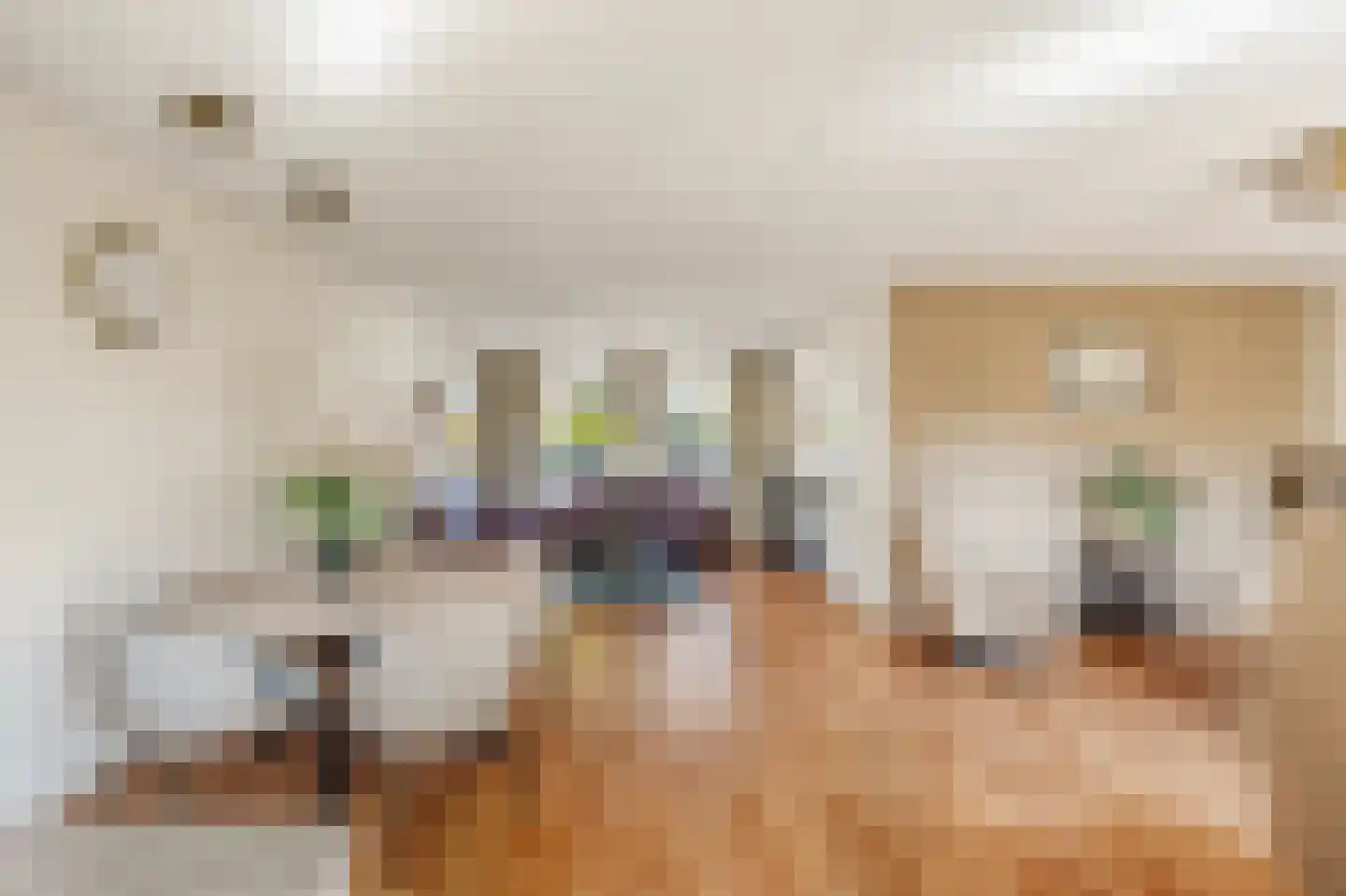 Lisdodde 20 Heerjansdam thumbnail 13
