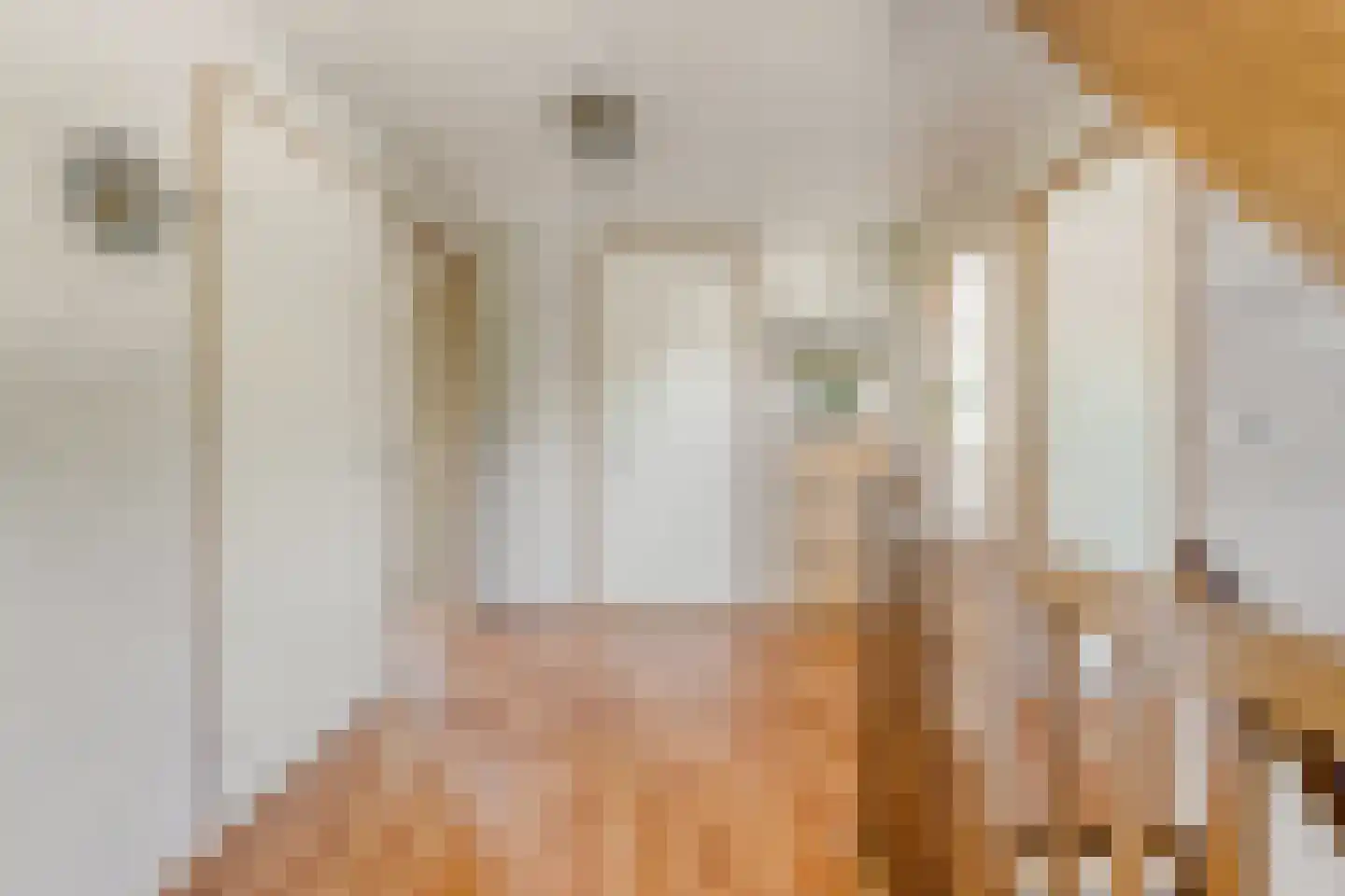 Lisdodde 20 Heerjansdam thumbnail 17