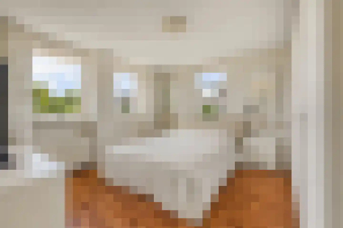 Lisdodde 20 Heerjansdam thumbnail 19
