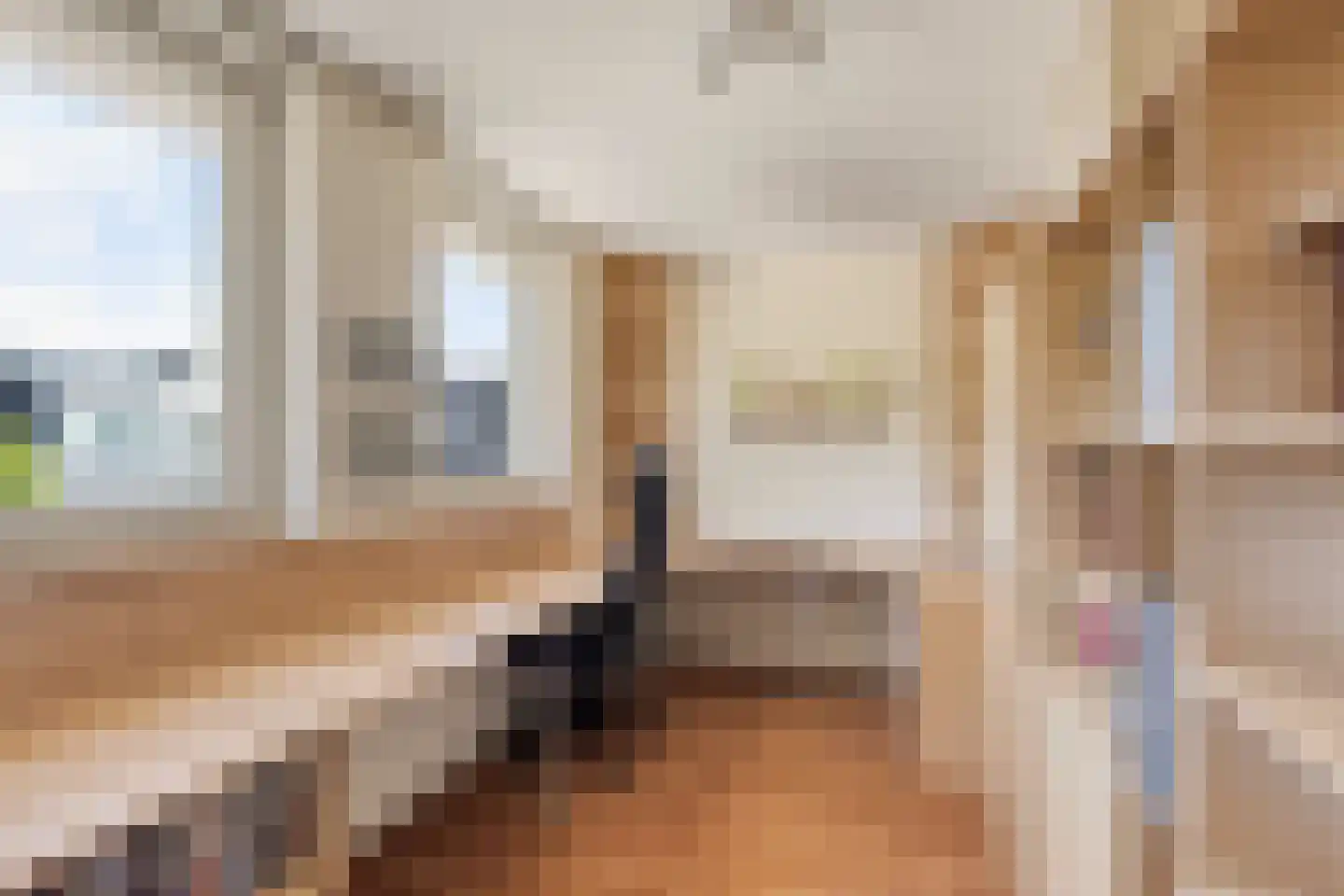 Lisdodde 20 Heerjansdam thumbnail 25