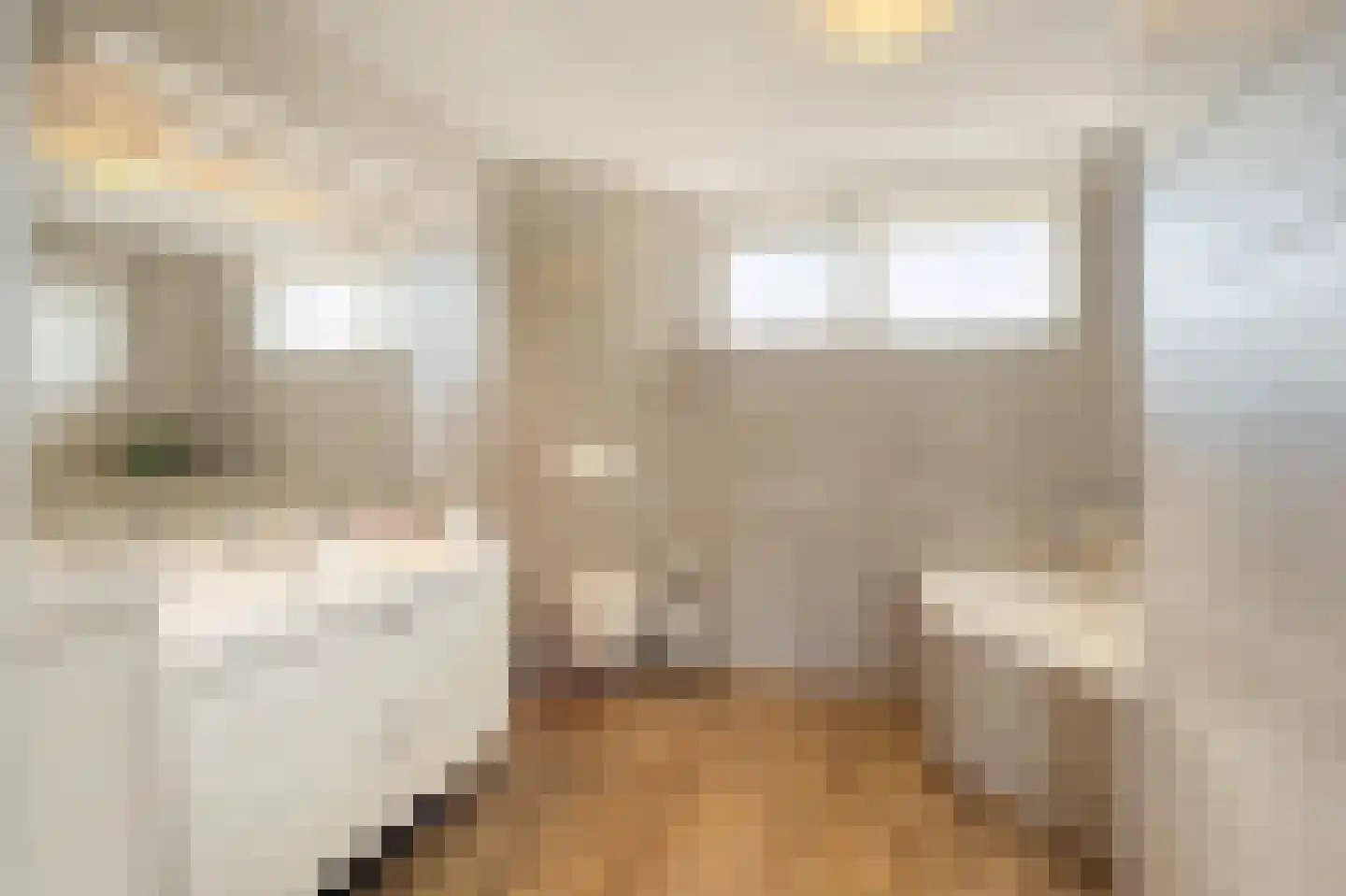 Lisdodde 20 Heerjansdam thumbnail 26