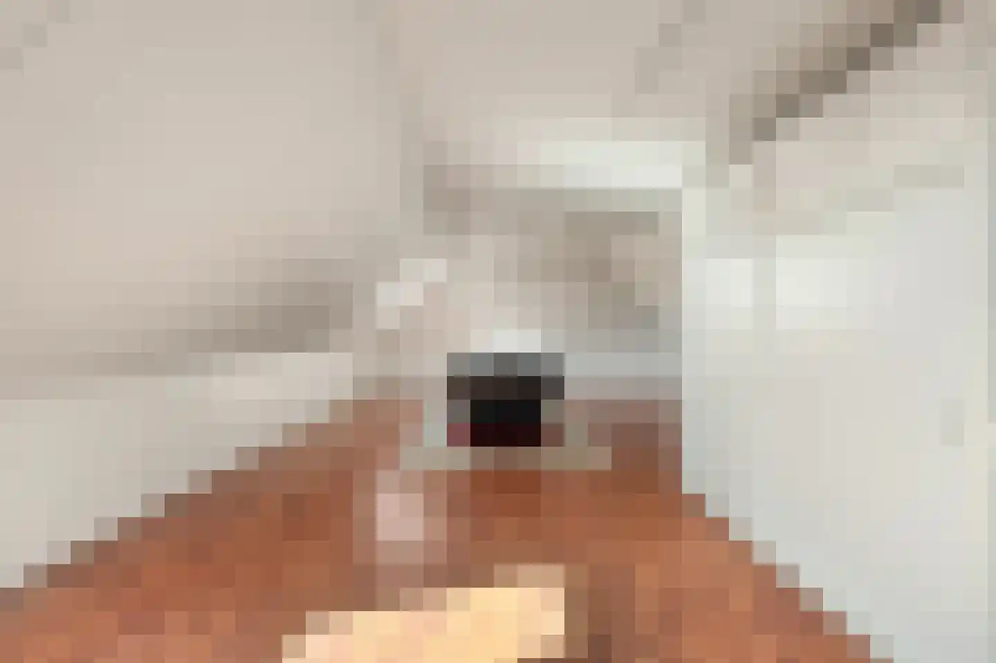 Lisdodde 20 Heerjansdam thumbnail 31