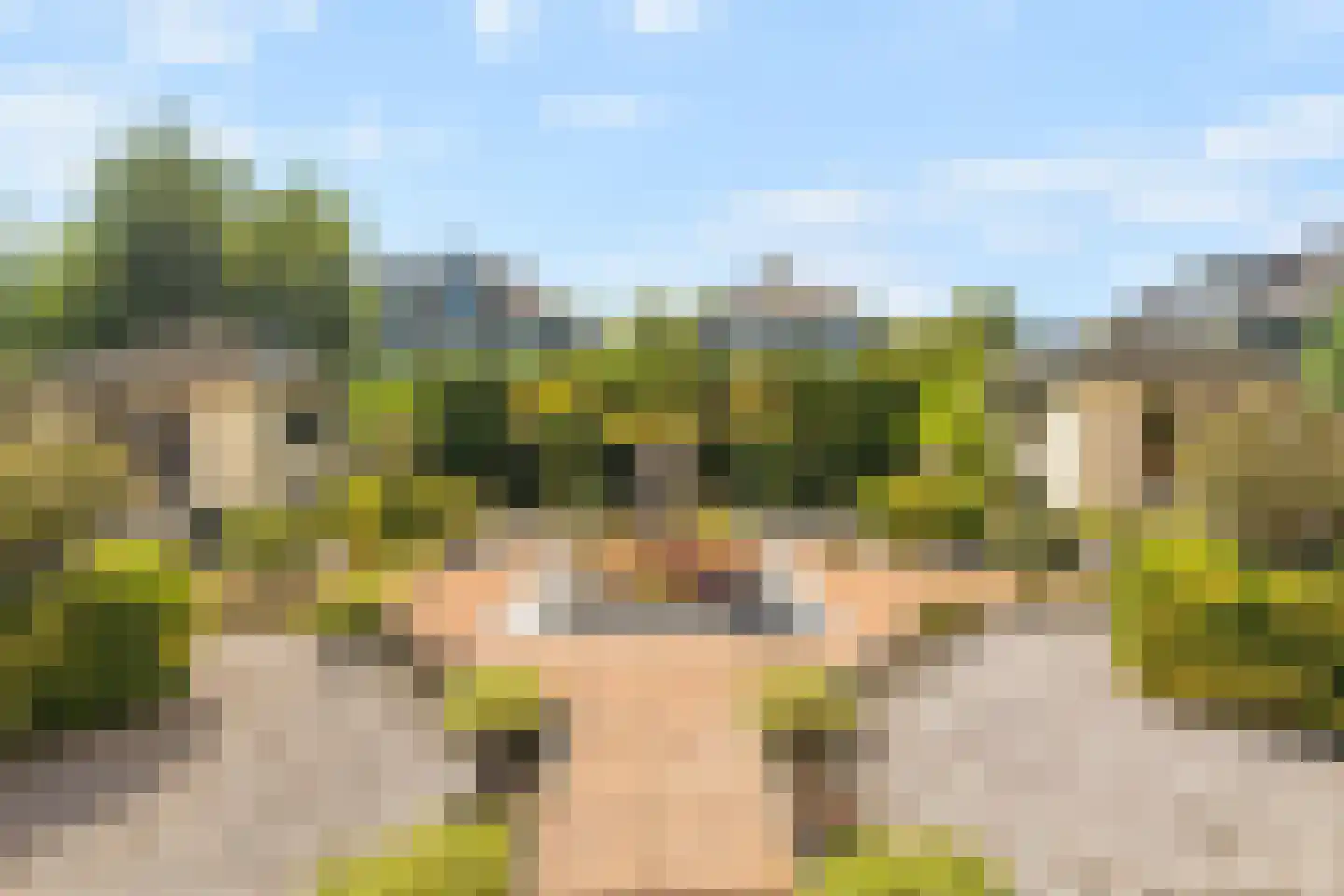 Lisdodde 20 Heerjansdam thumbnail 32
