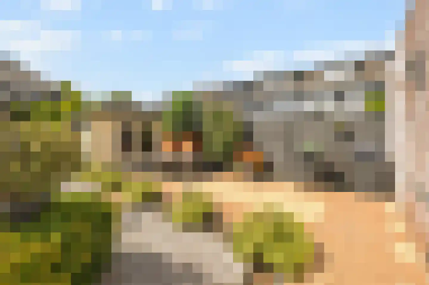 Lisdodde 20 Heerjansdam thumbnail 33