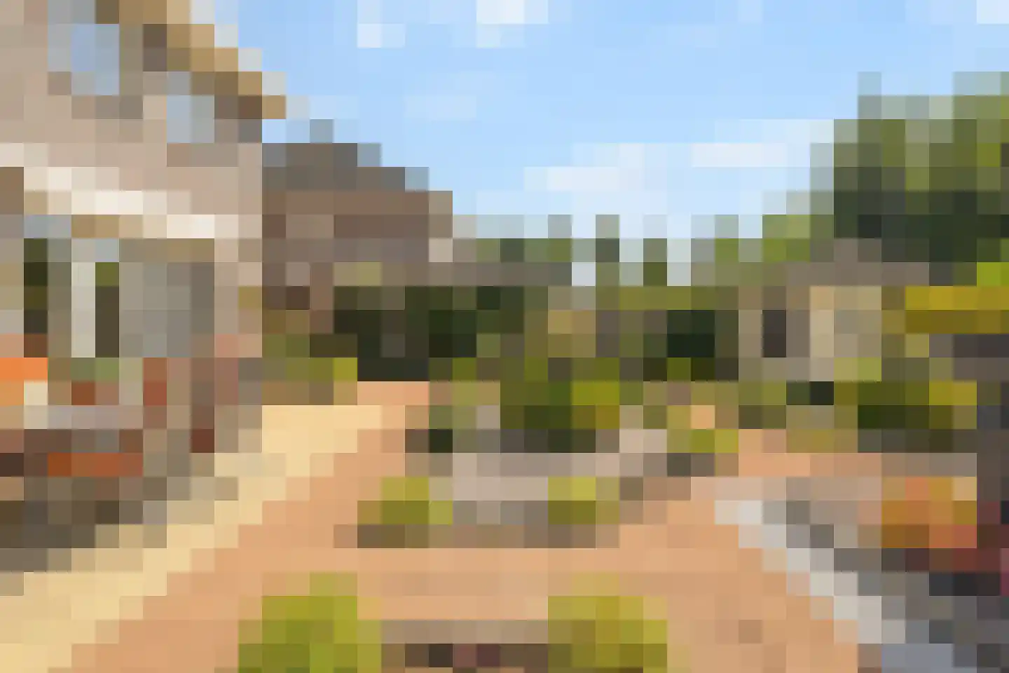 Lisdodde 20 Heerjansdam thumbnail 34