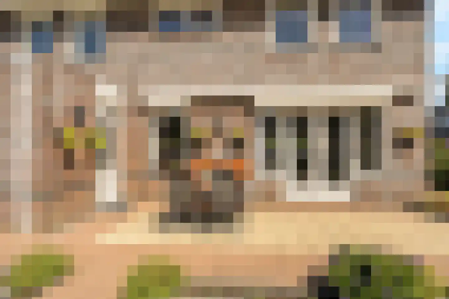 Lisdodde 20 Heerjansdam thumbnail 35