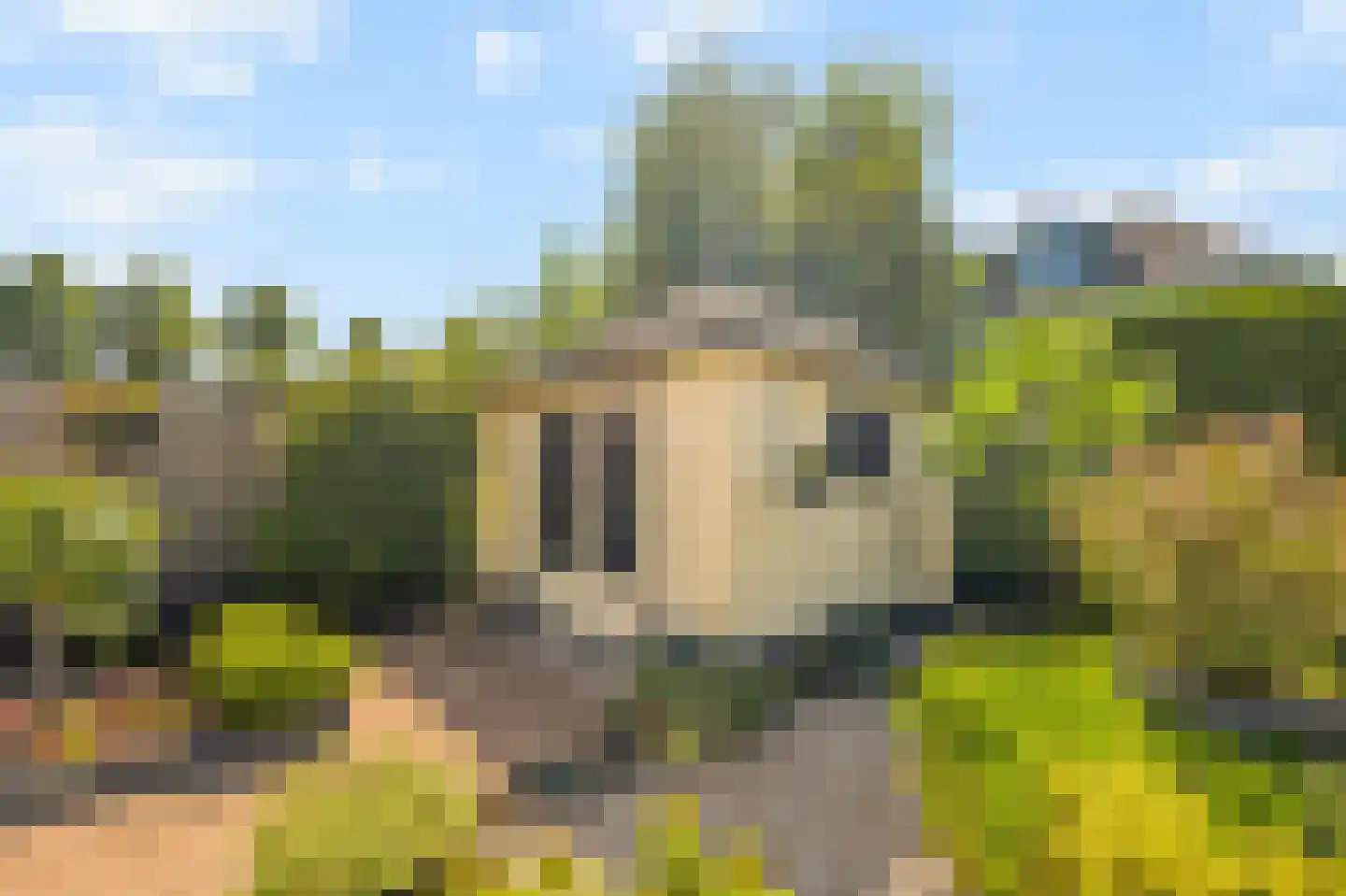Lisdodde 20 Heerjansdam thumbnail 36