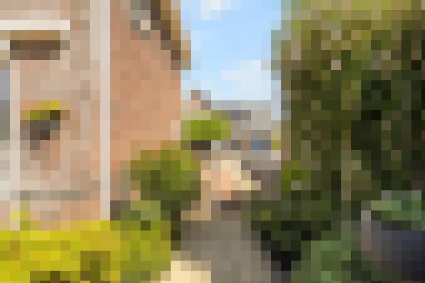 Lisdodde 20 Heerjansdam thumbnail 37
