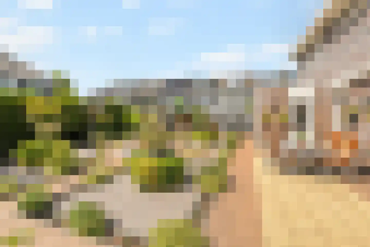 Lisdodde 20 Heerjansdam thumbnail 38