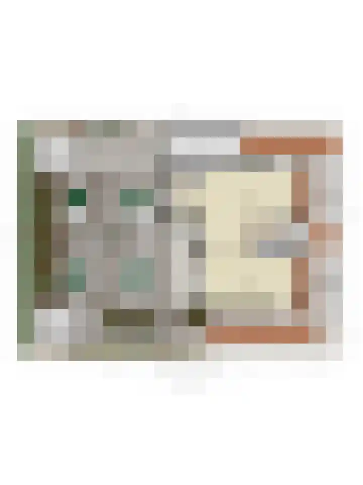 Lisdodde 20 Heerjansdam thumbnail 42