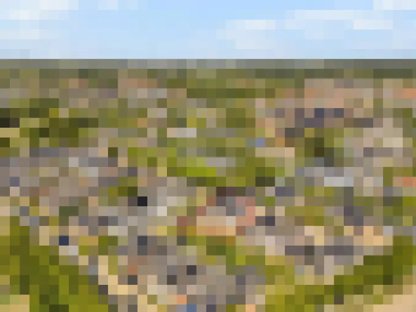 Lisdodde 20 Heerjansdam thumbnail 6