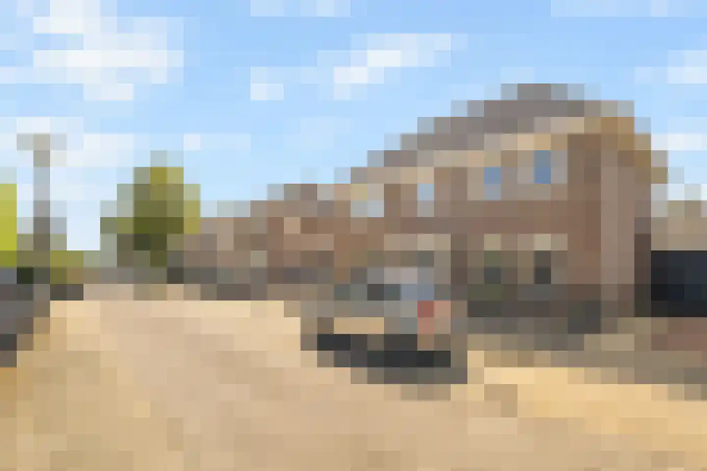 Lisdodde 20 Heerjansdam thumbnail 7