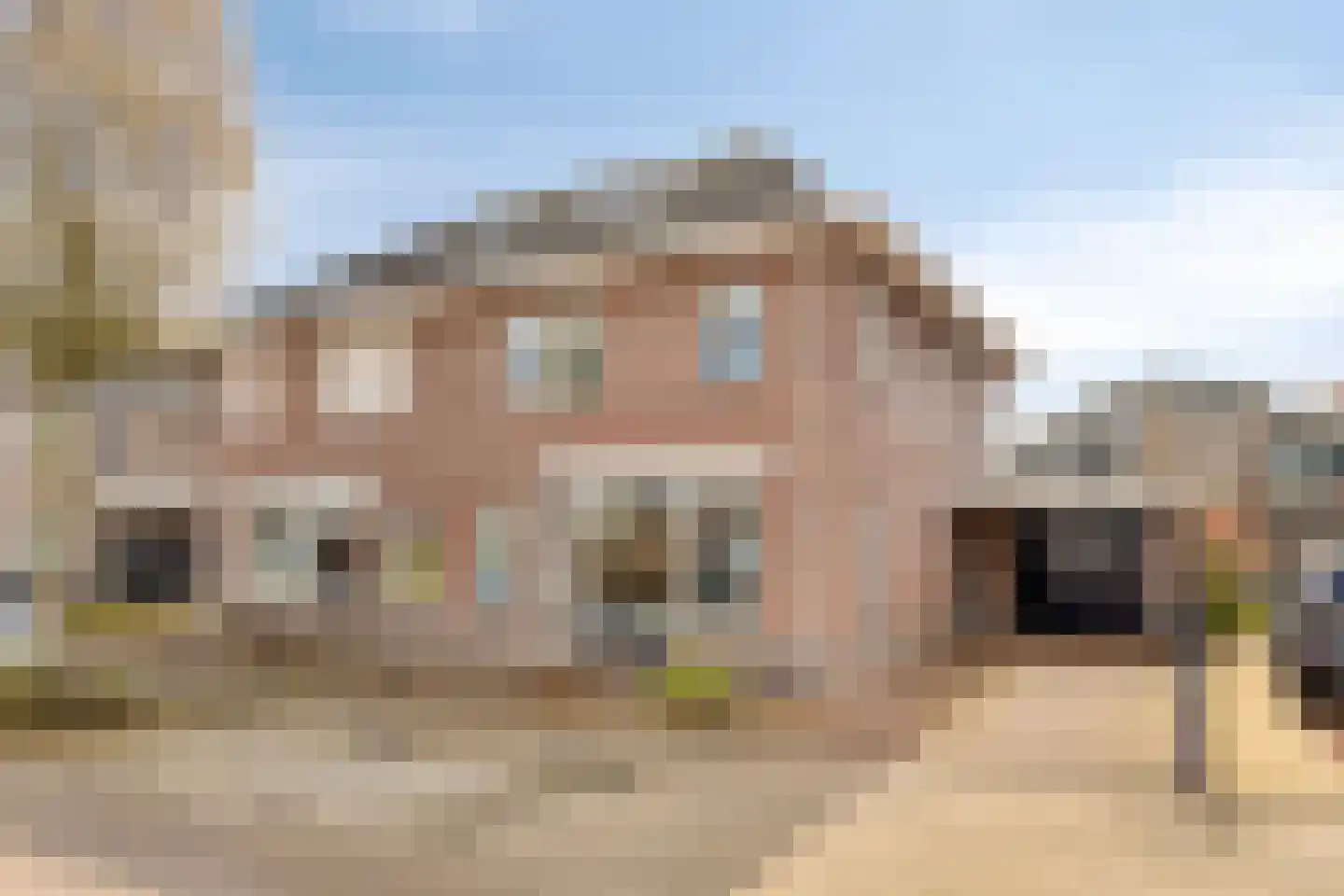 Lisdodde 22 Heerjansdam