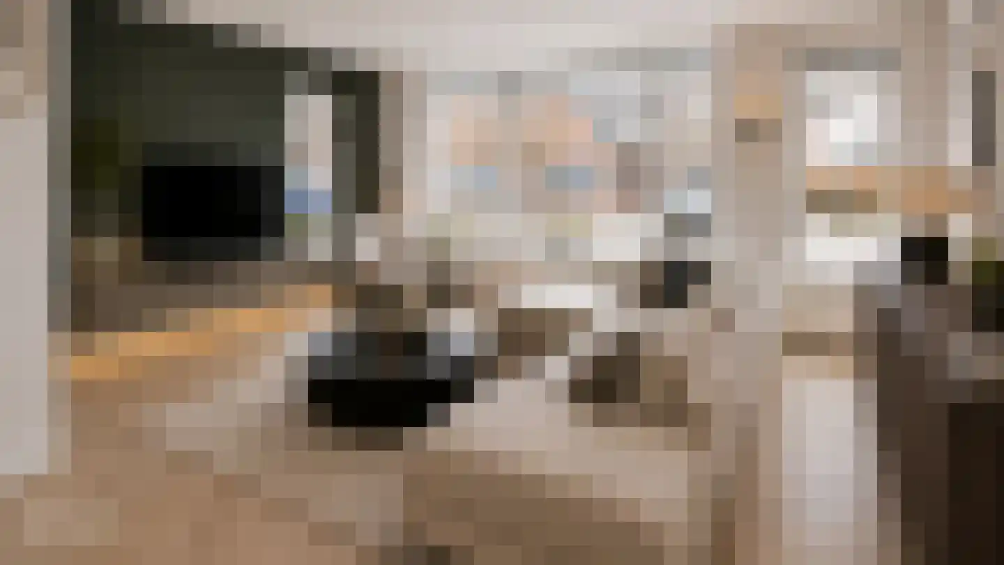 Lisdodde 22 Heerjansdam thumbnail 10