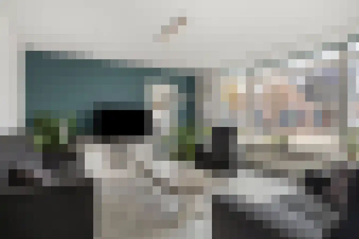 Lisdodde 22 Heerjansdam thumbnail 10