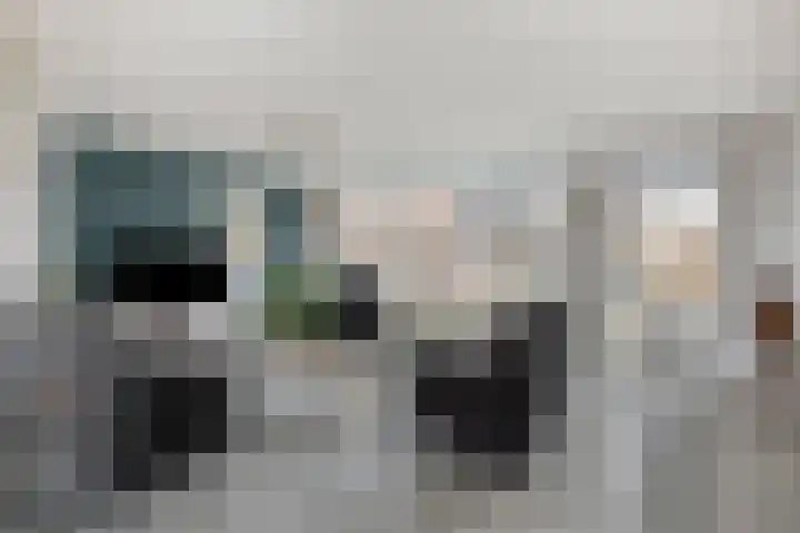 Lisdodde 22 Heerjansdam thumbnail 10