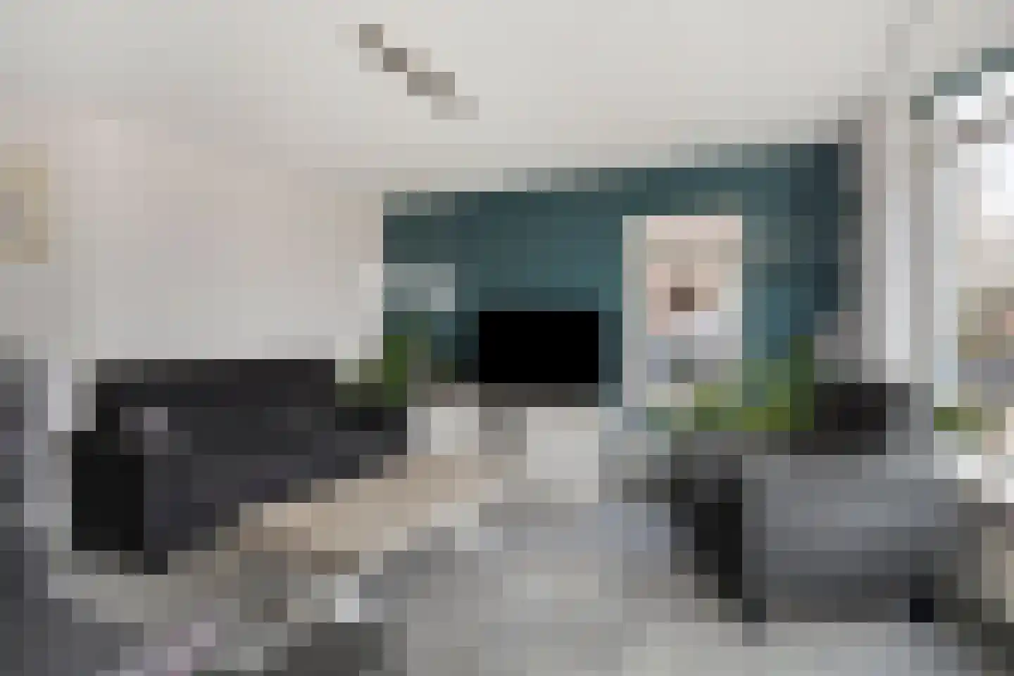 Lisdodde 22 Heerjansdam thumbnail 11