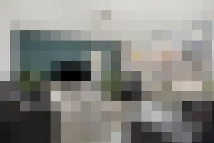 Lisdodde 22 Heerjansdam thumbnail 11