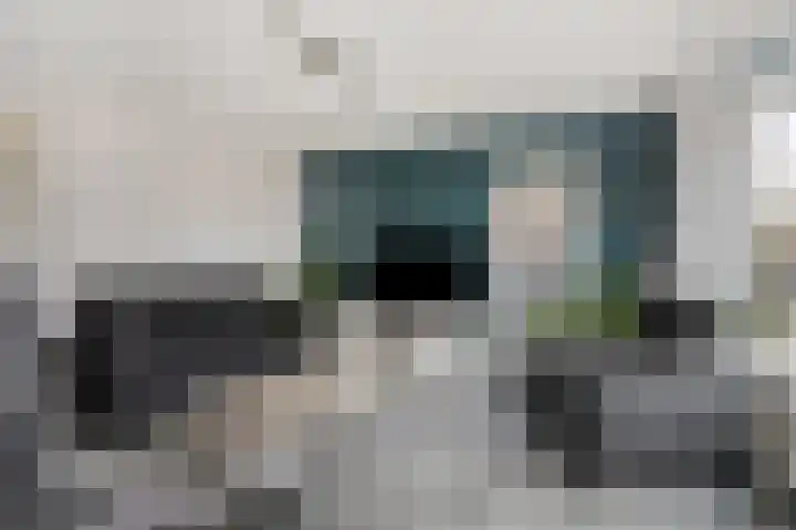 Lisdodde 22 Heerjansdam thumbnail 12