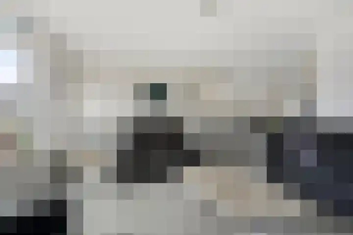 Lisdodde 22 Heerjansdam thumbnail 13