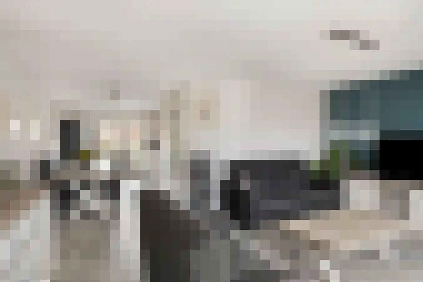 Lisdodde 22 Heerjansdam thumbnail 13