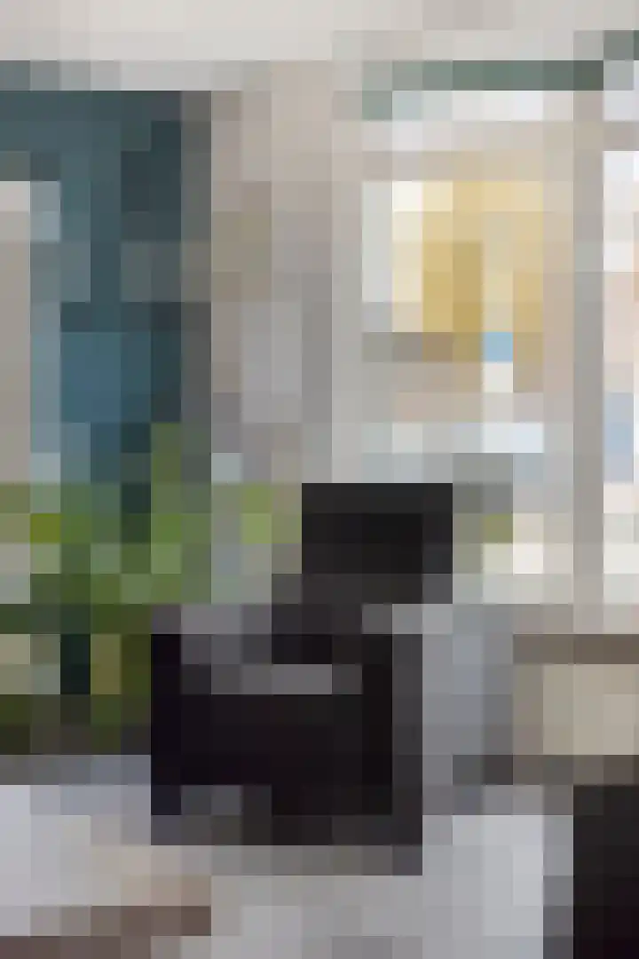 Lisdodde 22 Heerjansdam thumbnail 15