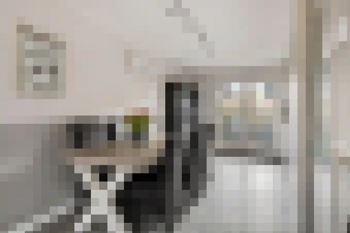 Lisdodde 22 Heerjansdam thumbnail 15