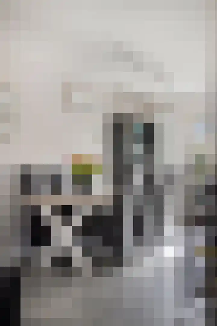 Lisdodde 22 Heerjansdam thumbnail 16
