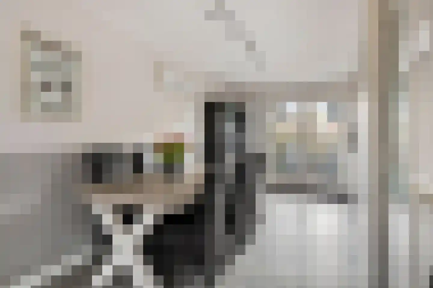 Lisdodde 22 Heerjansdam thumbnail 16