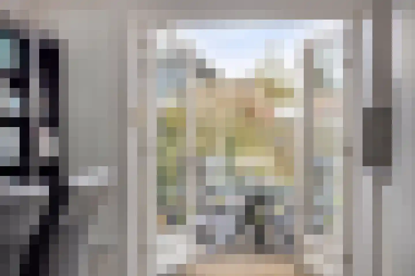 Lisdodde 22 Heerjansdam thumbnail 17