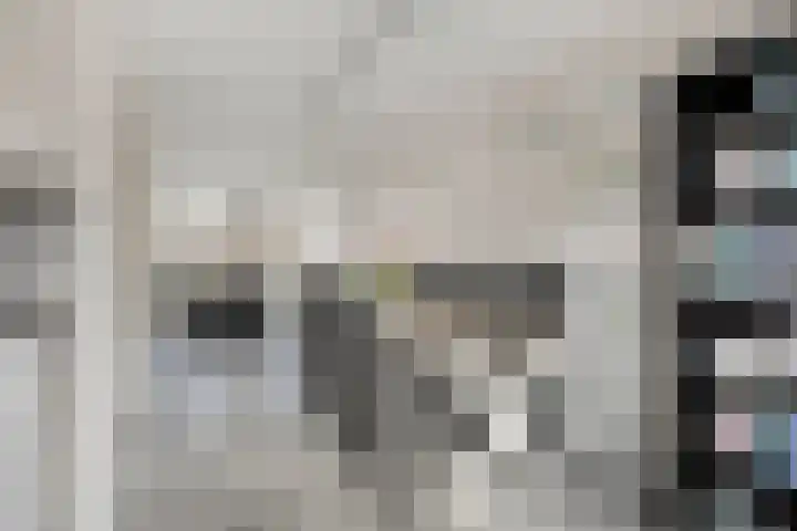 Lisdodde 22 Heerjansdam thumbnail 18