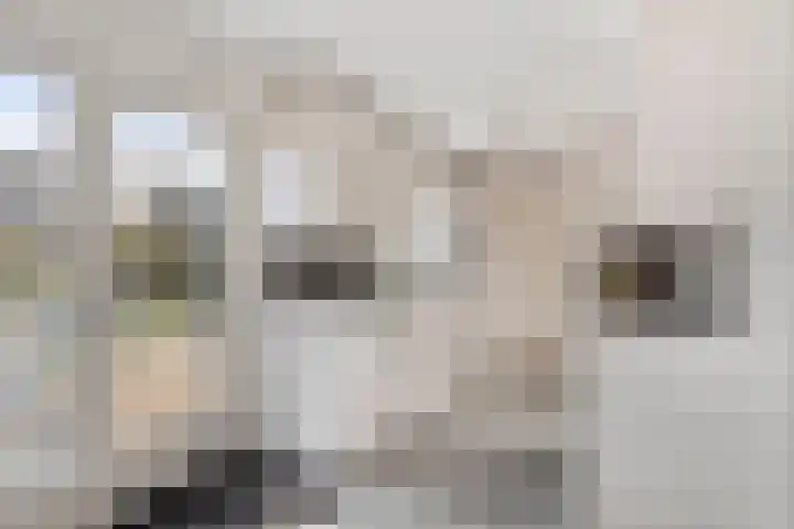 Lisdodde 22 Heerjansdam thumbnail 20