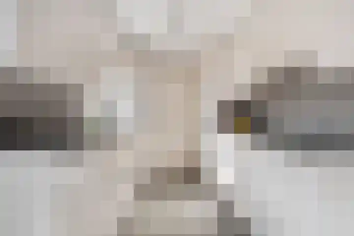 Lisdodde 22 Heerjansdam thumbnail 21