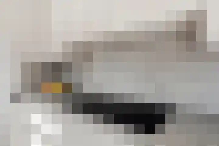 Lisdodde 22 Heerjansdam thumbnail 22