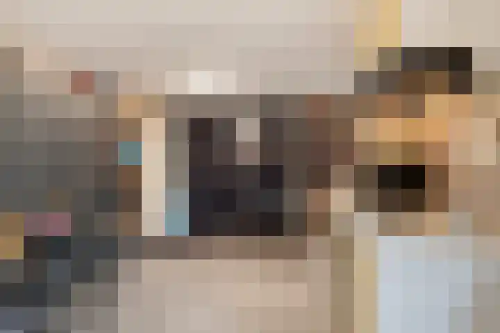 Lisdodde 22 Heerjansdam thumbnail 26