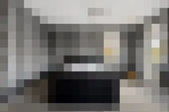 Lisdodde 22 Heerjansdam thumbnail 29