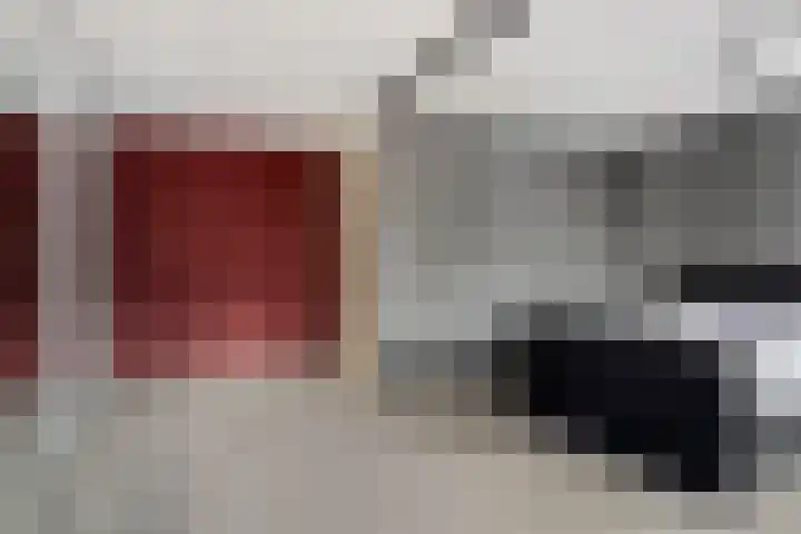 Lisdodde 22 Heerjansdam thumbnail 30
