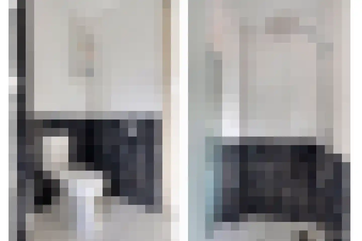 Lisdodde 22 Heerjansdam thumbnail 33
