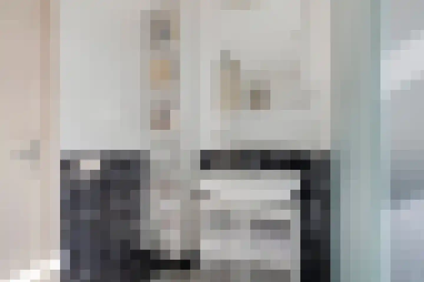 Lisdodde 22 Heerjansdam thumbnail 34