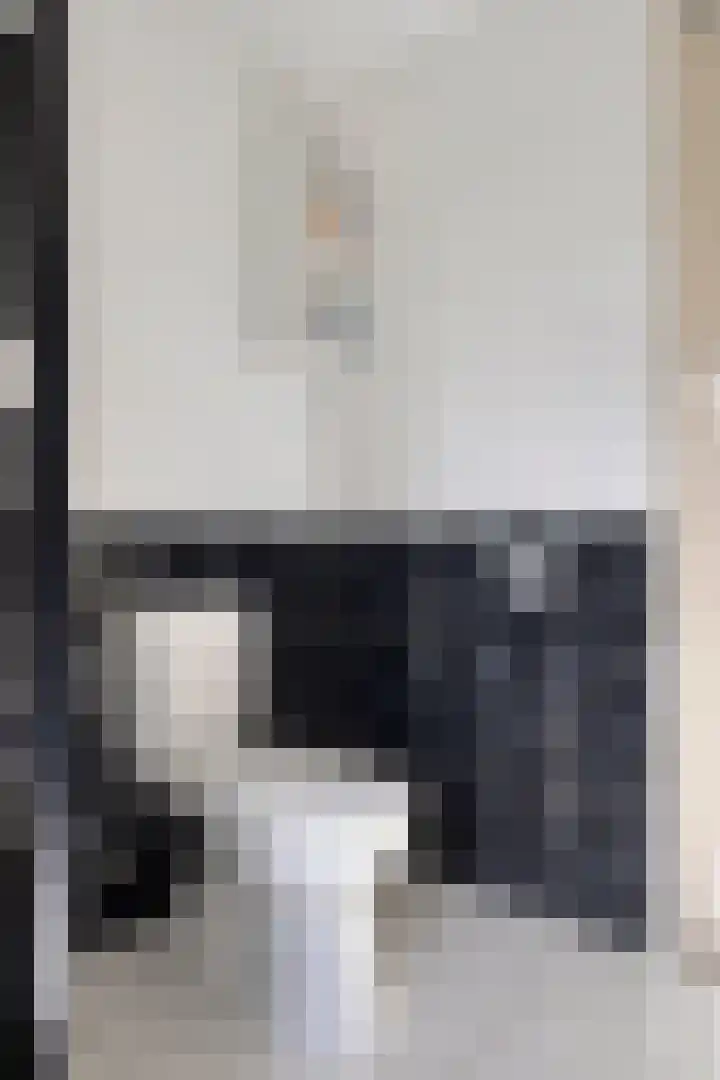 Lisdodde 22 Heerjansdam thumbnail 34