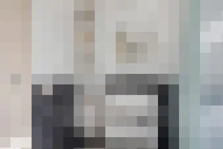 Lisdodde 22 Heerjansdam thumbnail 35