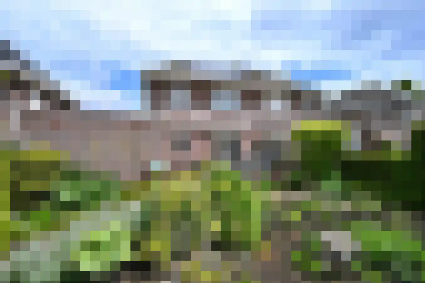 Lisdodde 22 Heerjansdam thumbnail 37