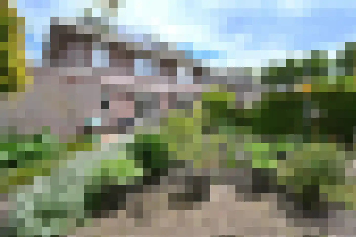 Lisdodde 22 Heerjansdam thumbnail 38