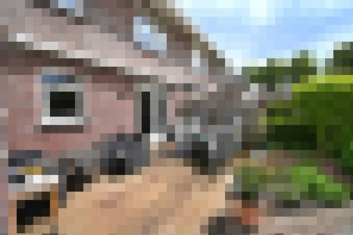 Lisdodde 22 Heerjansdam thumbnail 39