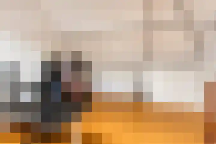 Lisdodde 22 Heerjansdam thumbnail 39